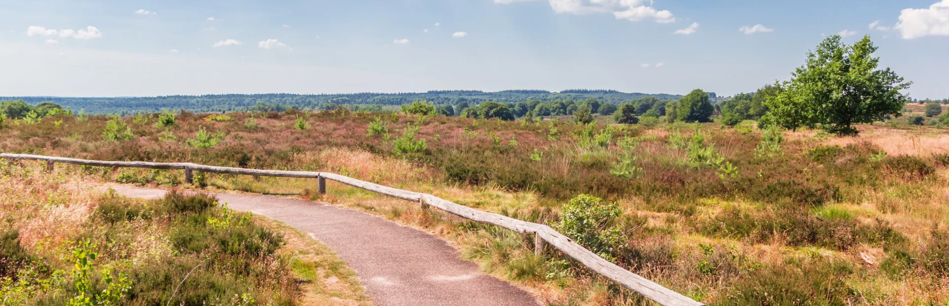 Camping de Holterberg Sallandse Heuvelrug wandelen