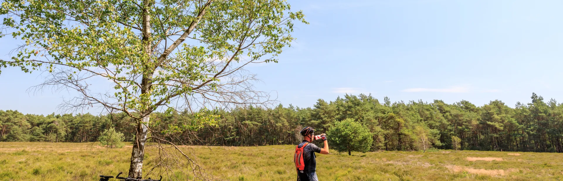 Camping de Holterberg - Fietsen heide